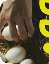 banner-side-4